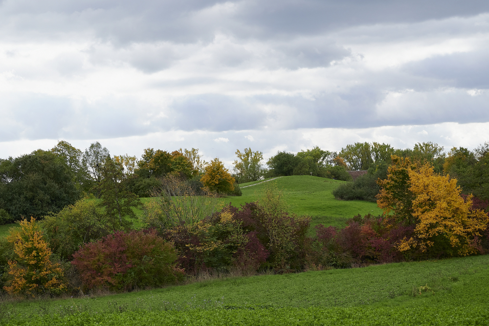 DSC_0363_01.JPG