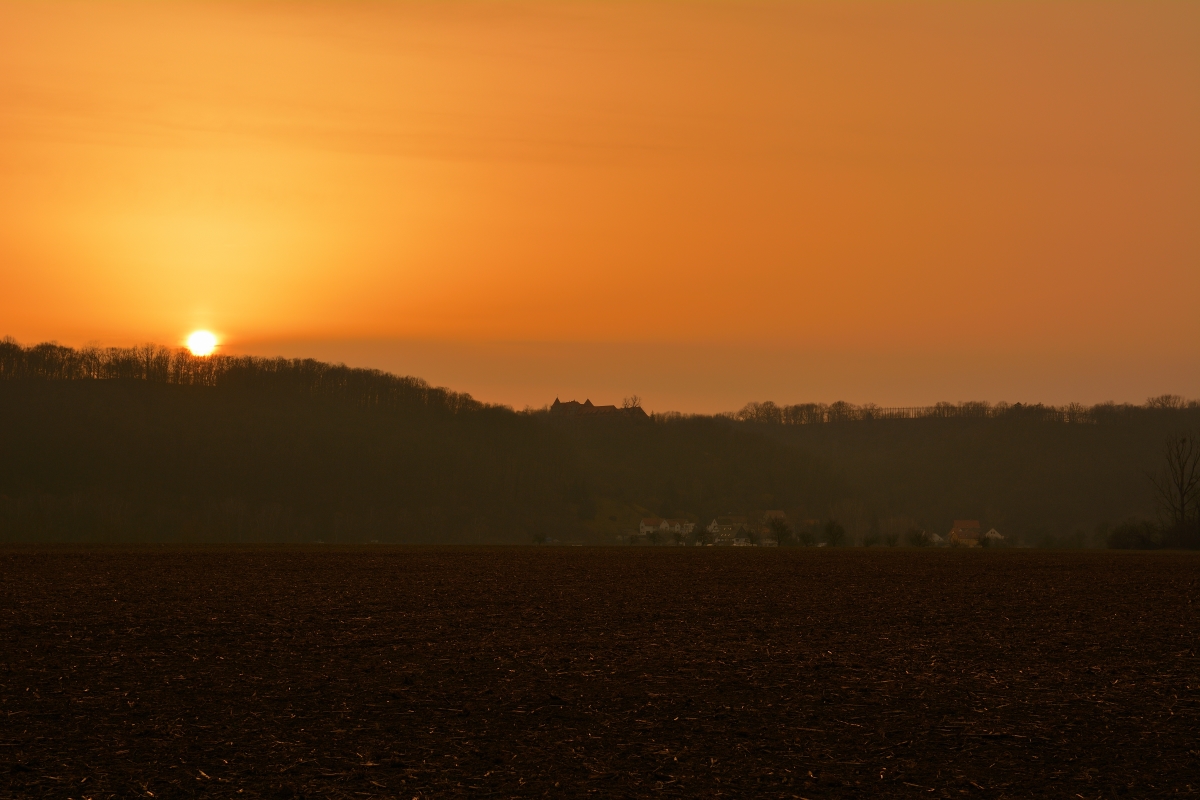 DSC_0365_00001_03n.jpg