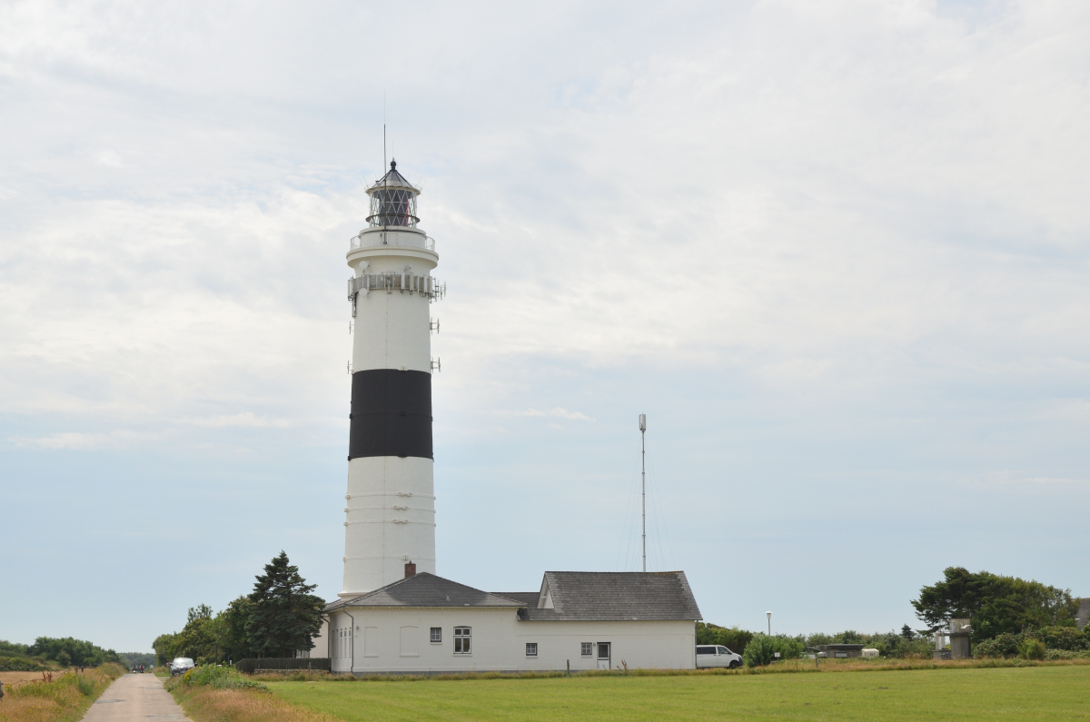 DSC_0379.JPG