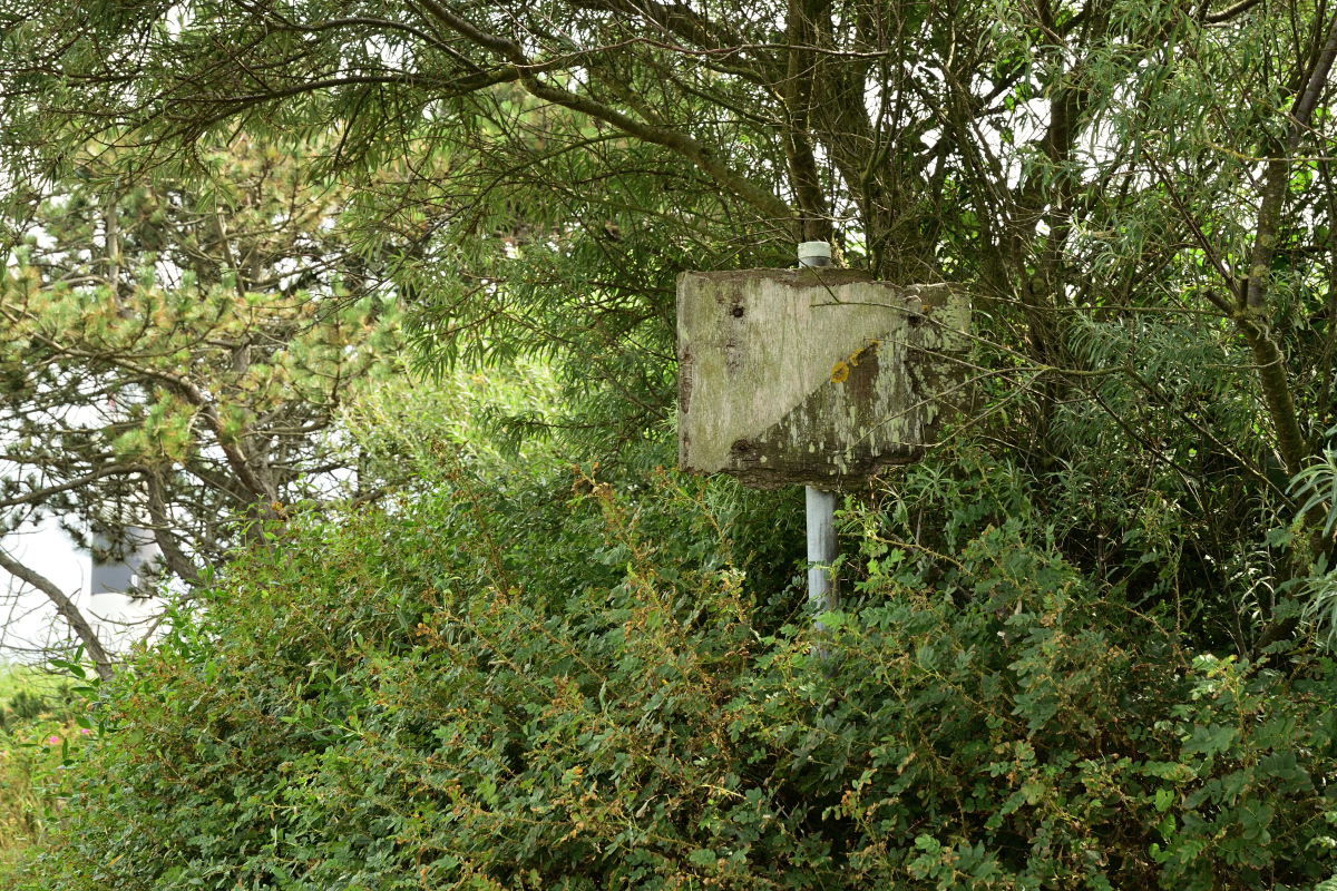DSC_0385.JPG