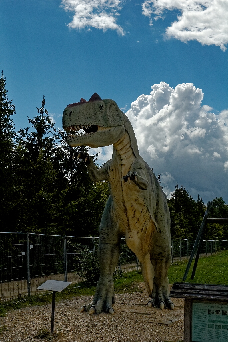 DSC_0386_DxO.jpg