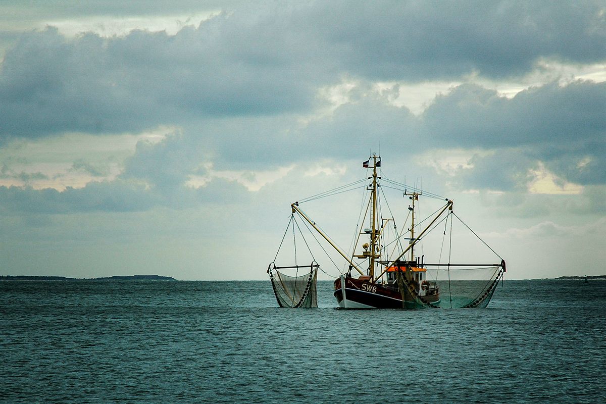 DSC_0396.jpg