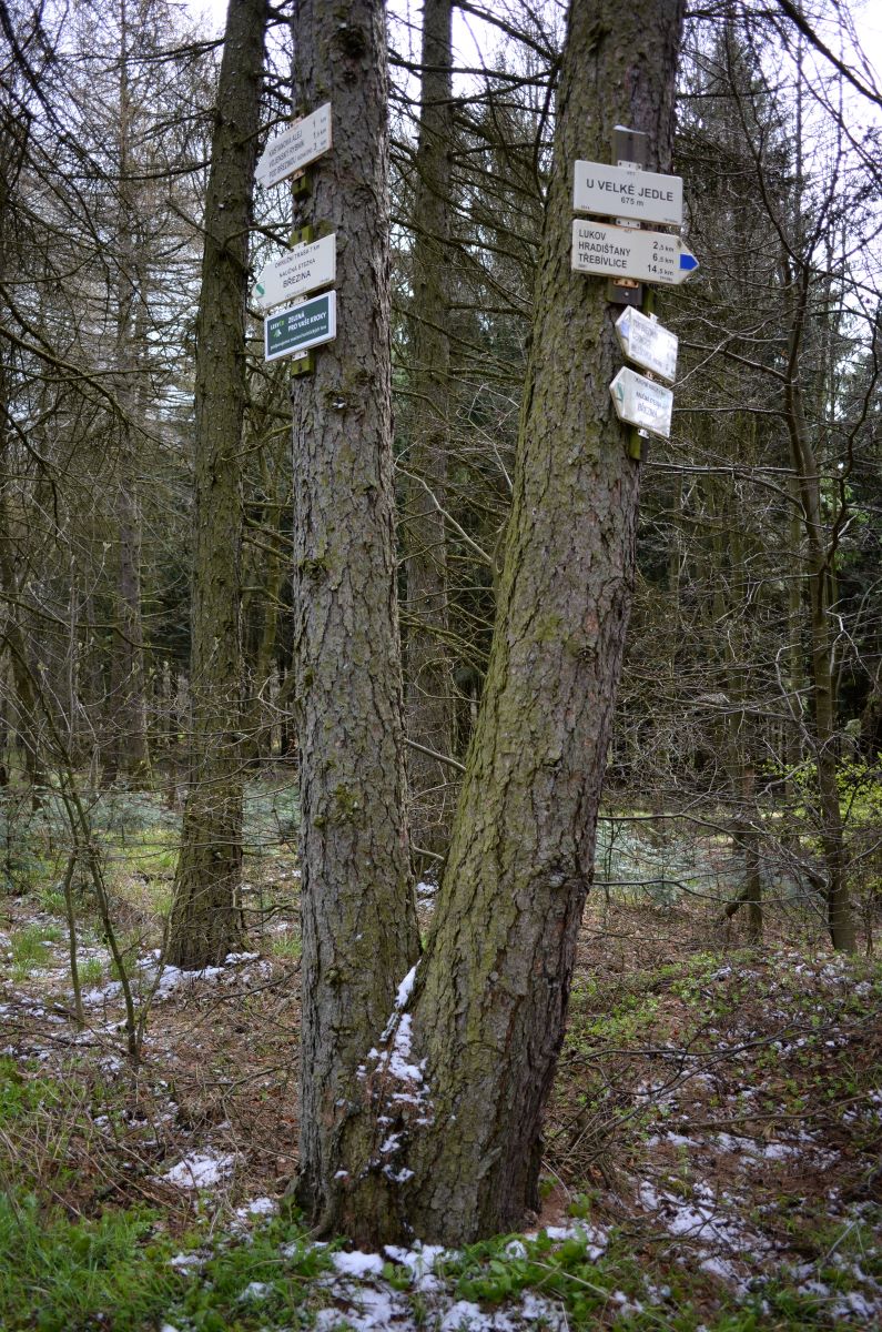 DSC_0409n.JPG