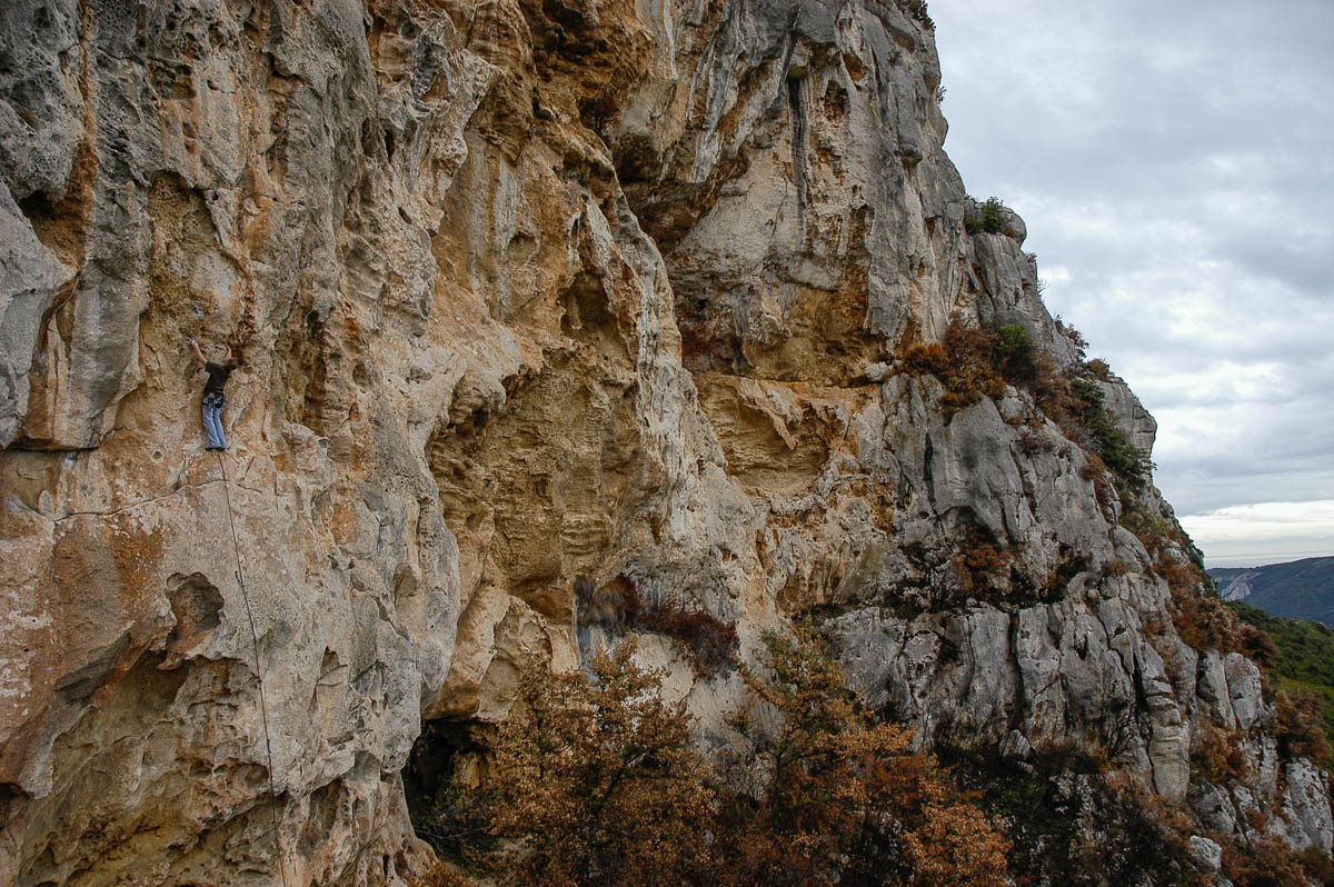 DSC_0416.jpg
