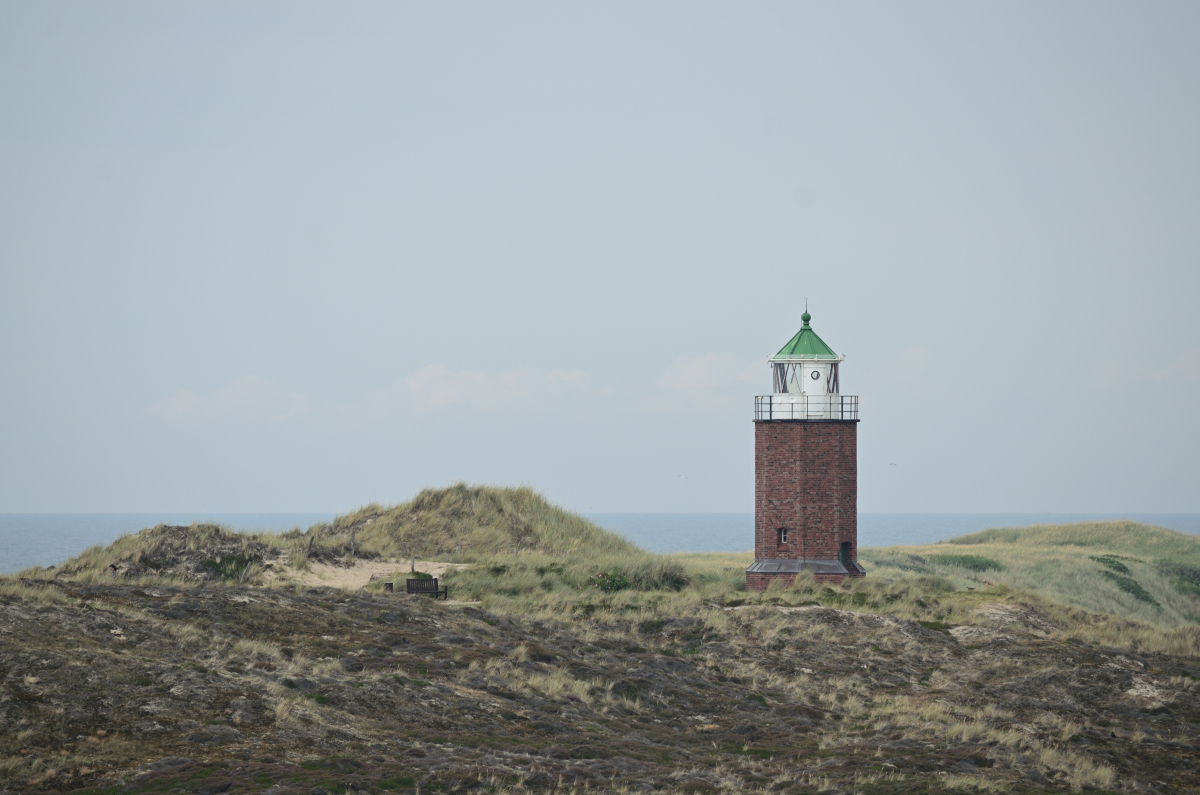 DSC_0417.JPG