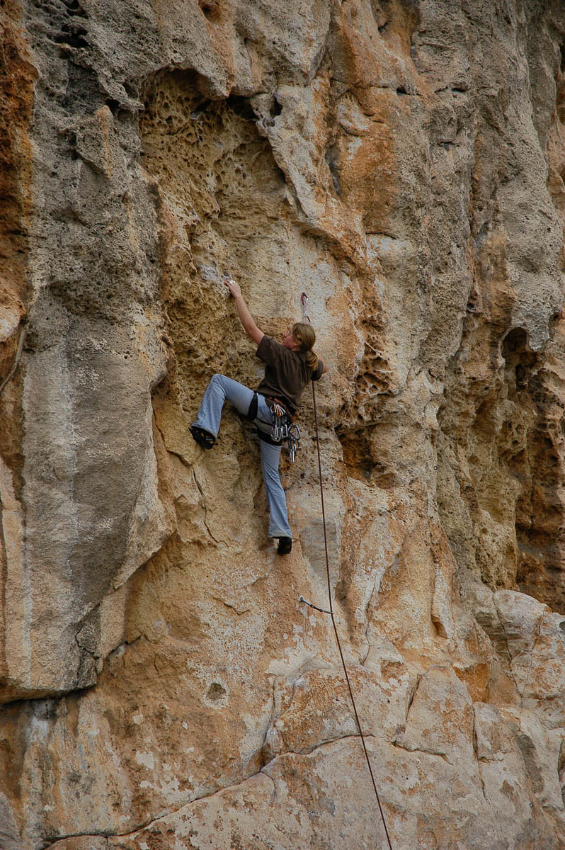 DSC_0419.jpg