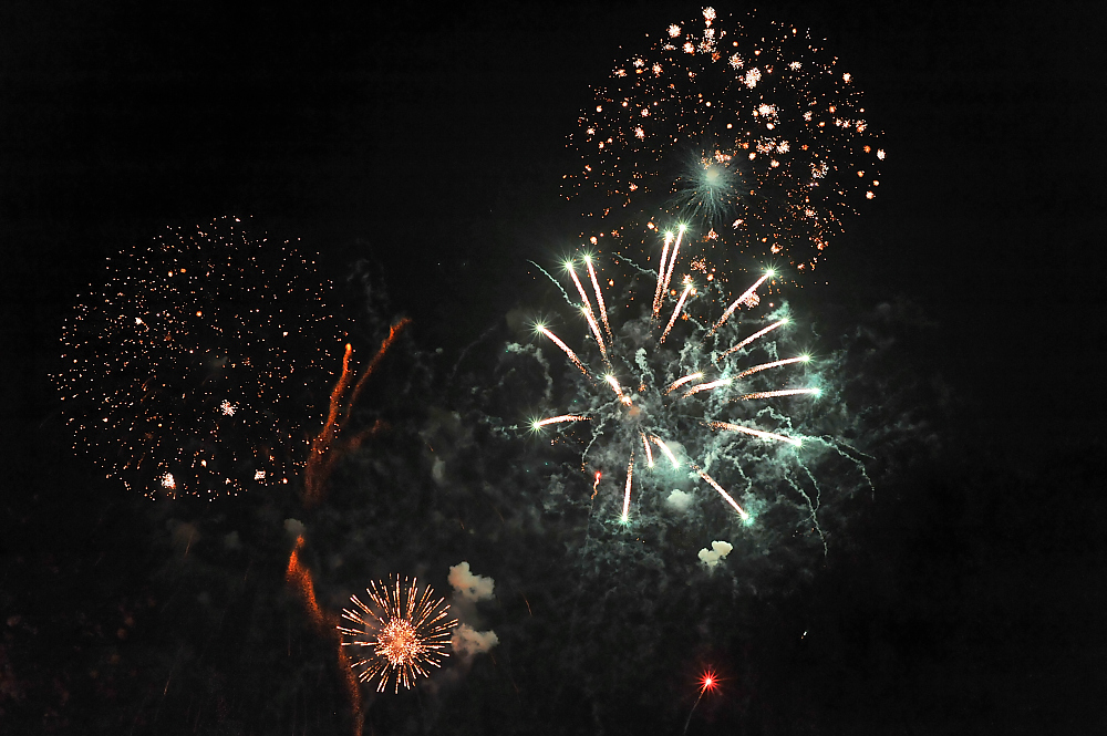 DSC_0419.jpg