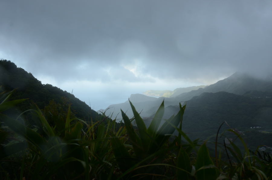 DSC_0420_01.JPG
