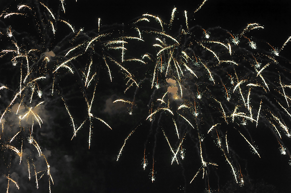 DSC_0432.jpg