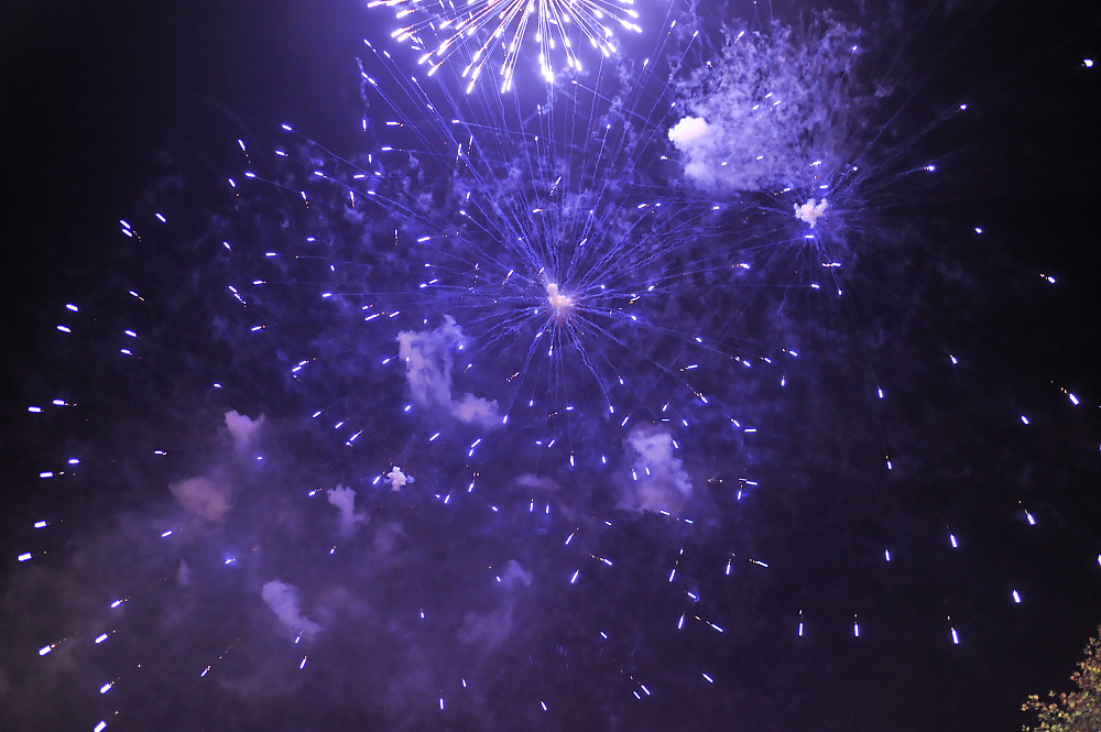 DSC_0437.jpg