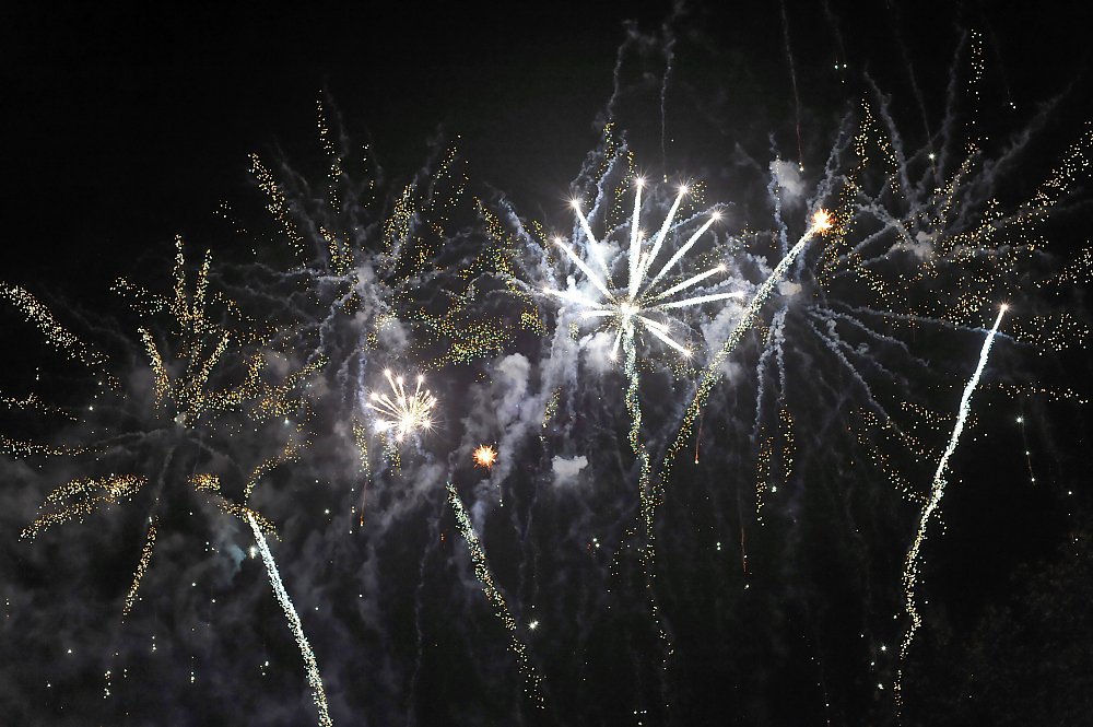 DSC_0447.jpg