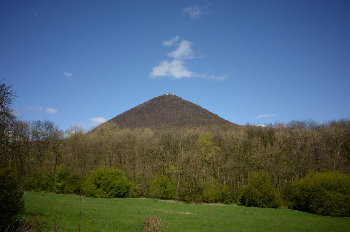 DSC_0452n.JPG