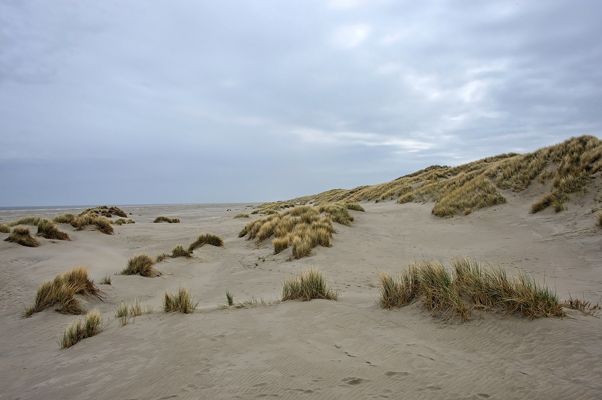 DSC_0467.jpg