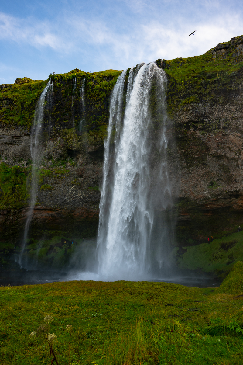 DSC_0475.jpg