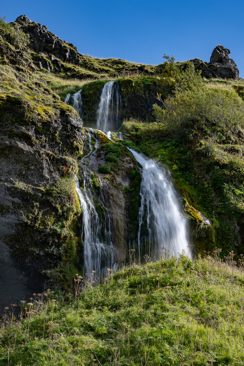DSC_0491.jpg
