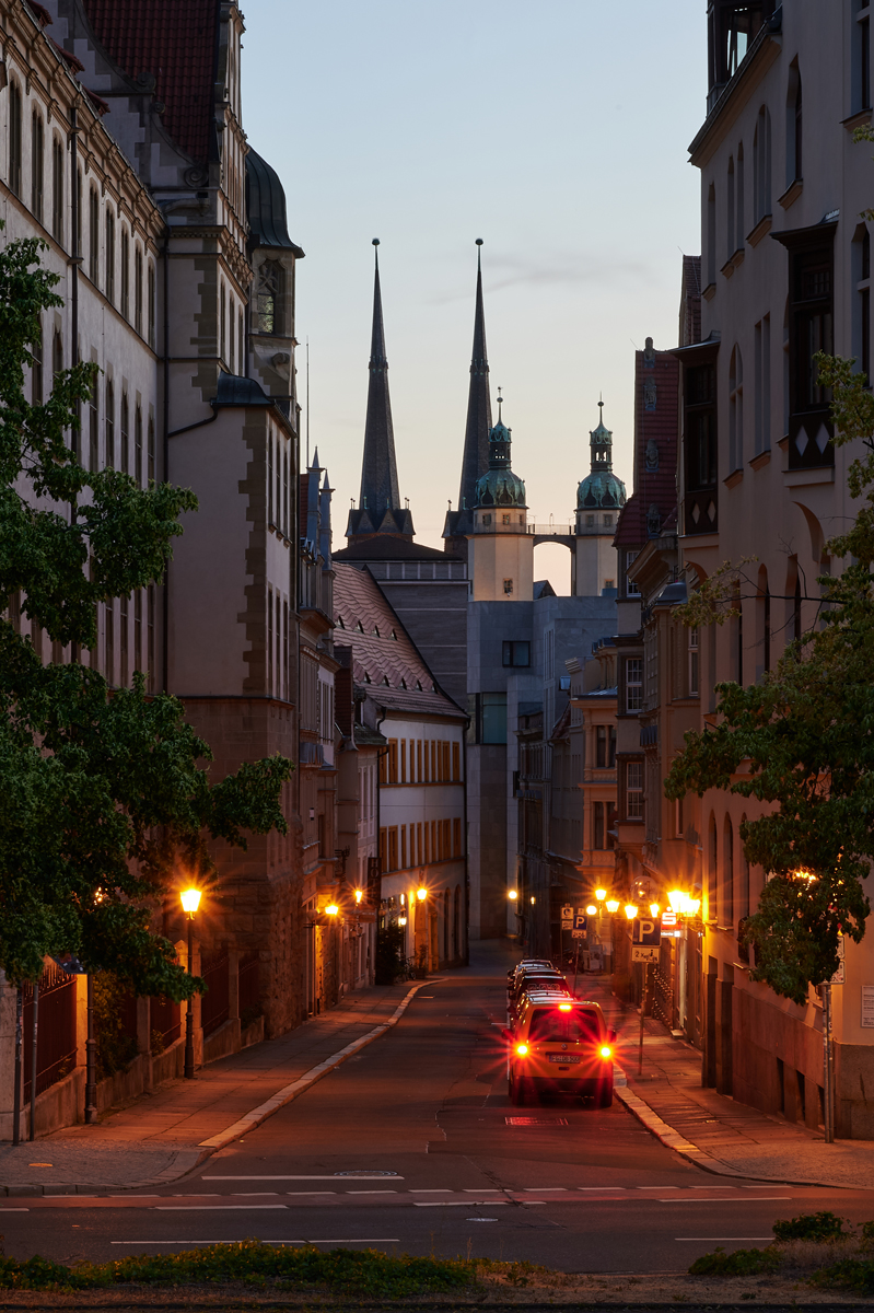 DSC_0491_1.jpg
