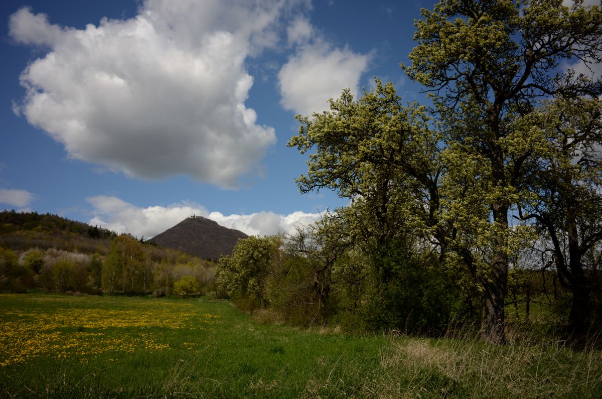 DSC_0494n.JPG