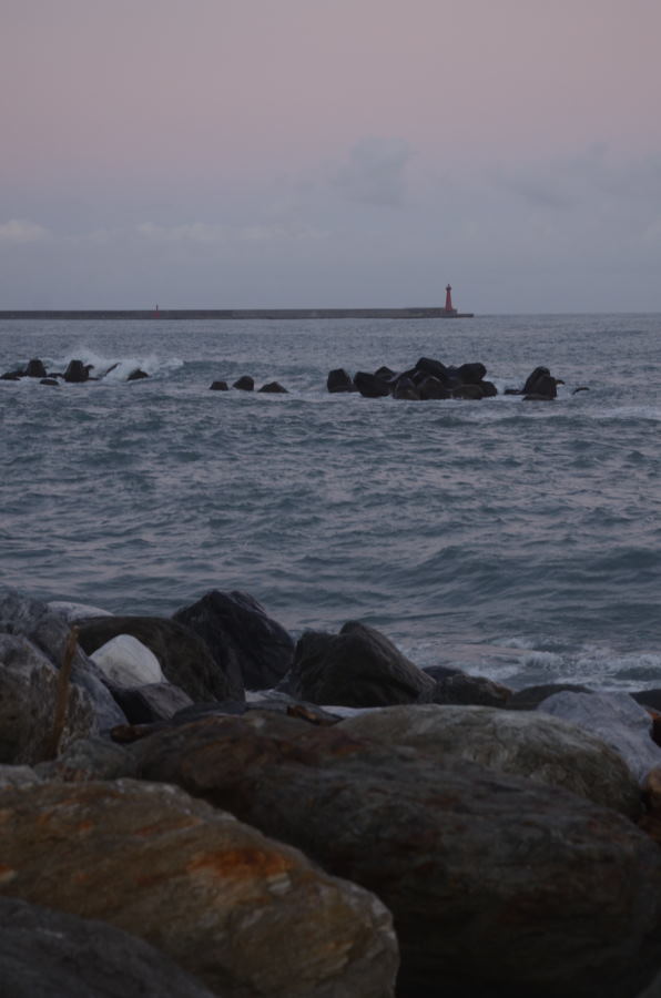 DSC_0521_01.JPG