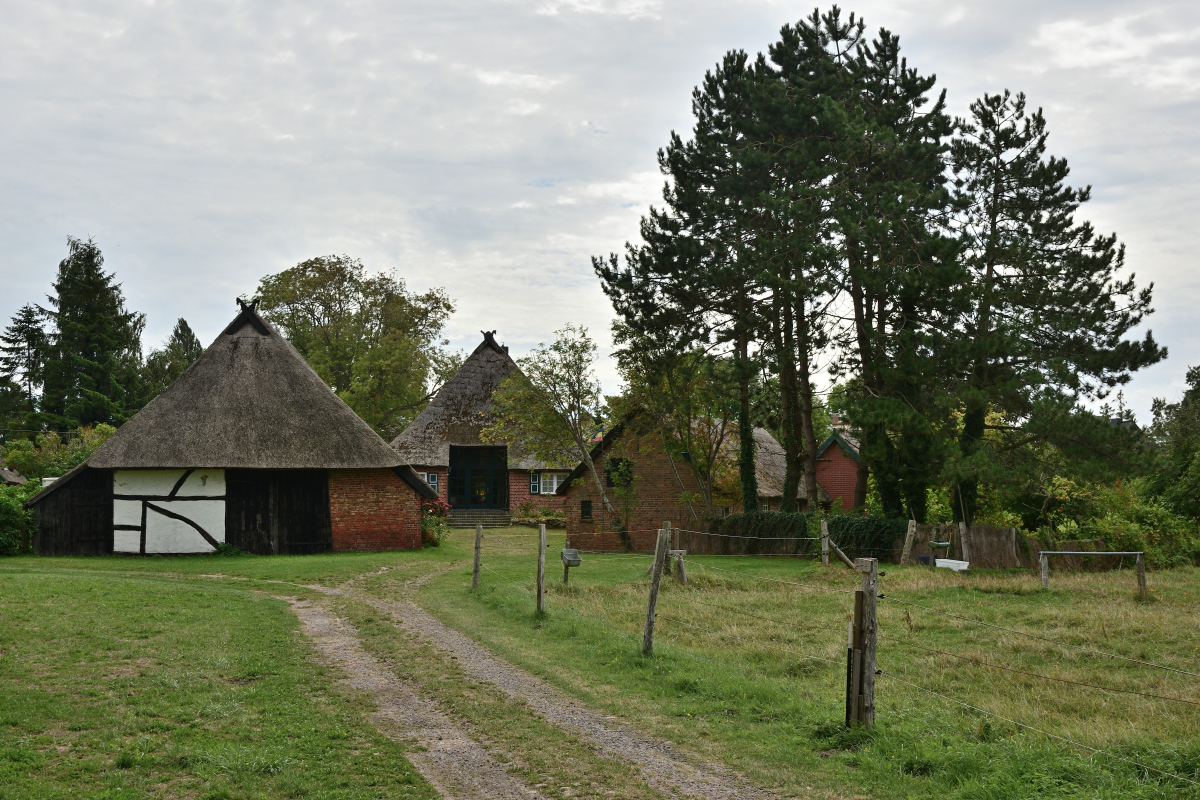 DSC_0536.JPG