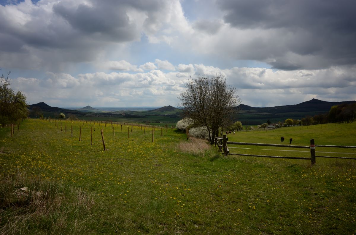 DSC_0537n.JPG