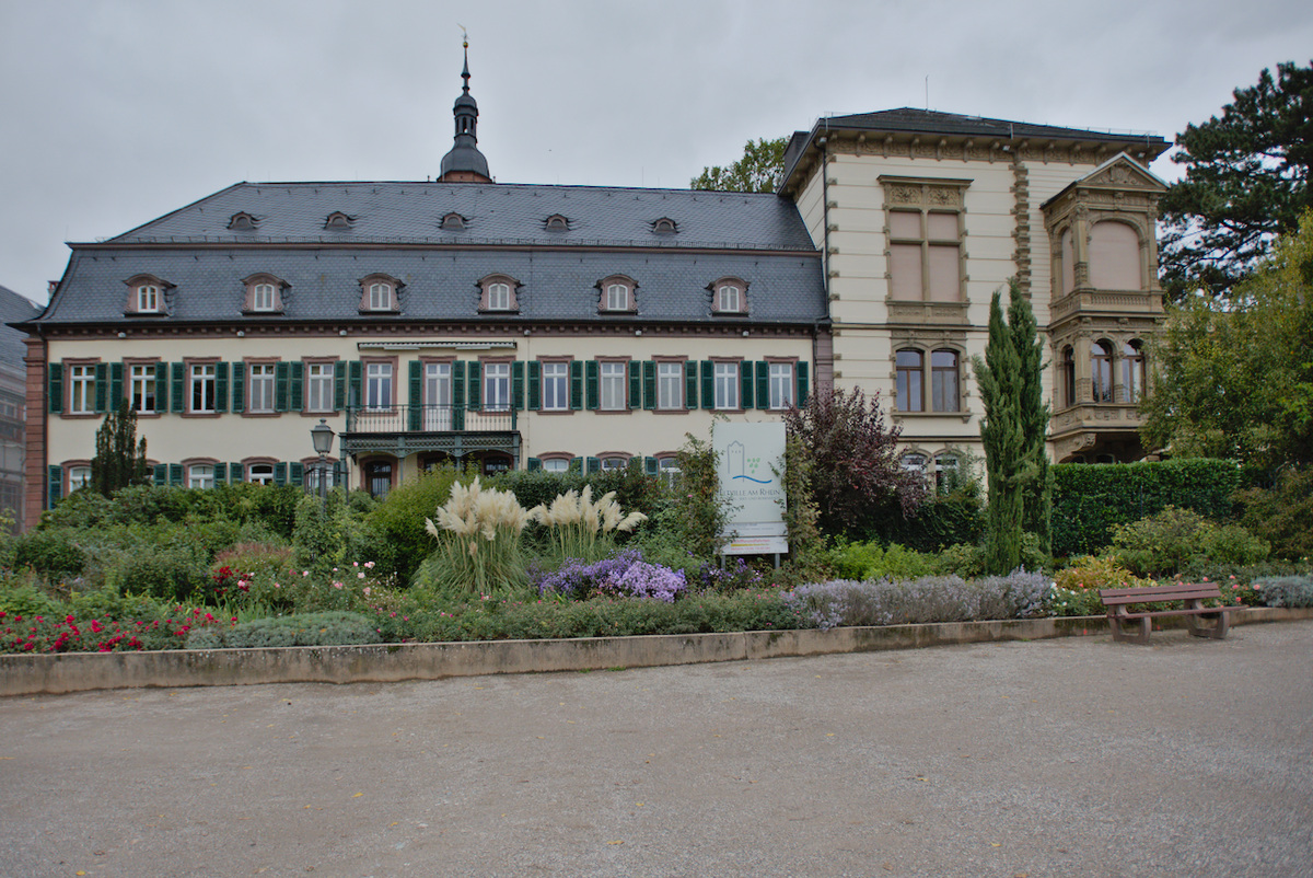 DSC_0547.jpg