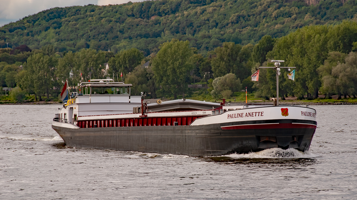DSC_0561Pxl.jpg