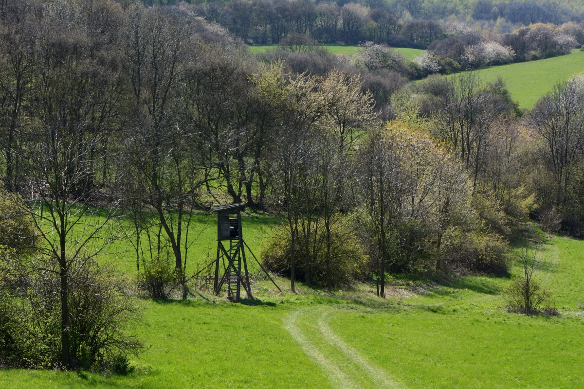 DSC_0572_00001n.jpg
