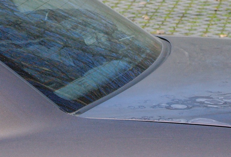DSC_0583_DxO2n.jpg