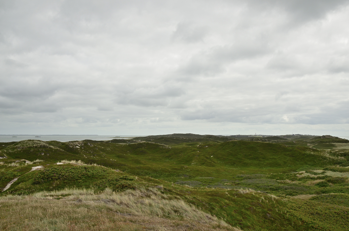 DSC_0584.JPG