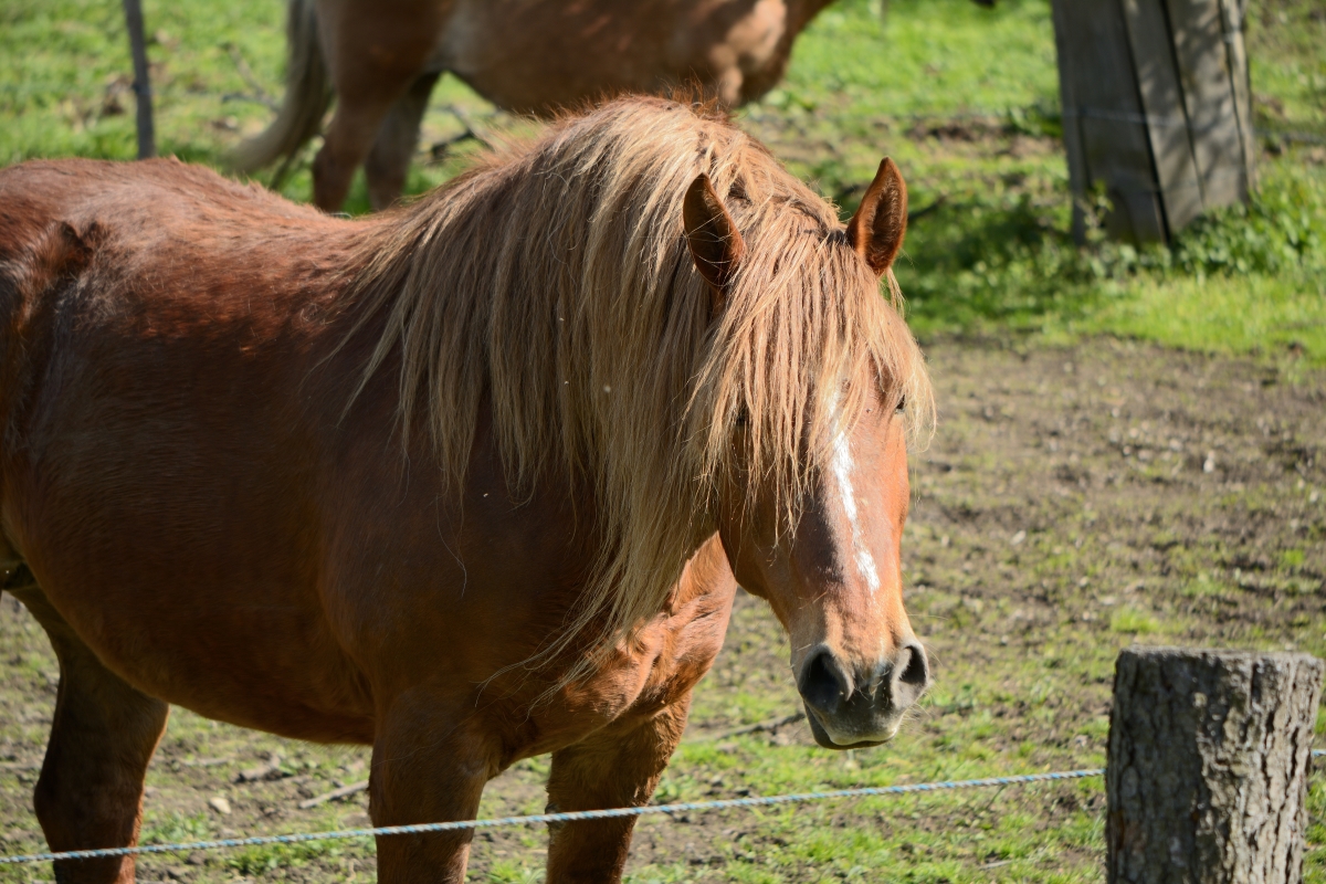 DSC_0589_00001n.jpg