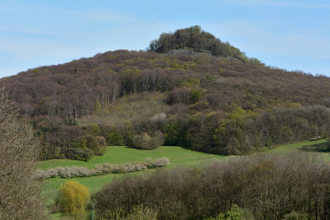 DSC_0599_00001n.jpg