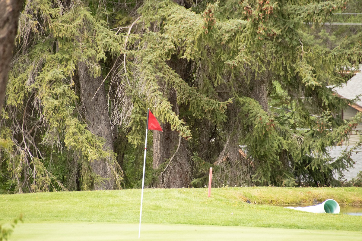 DSC_0607.jpg
