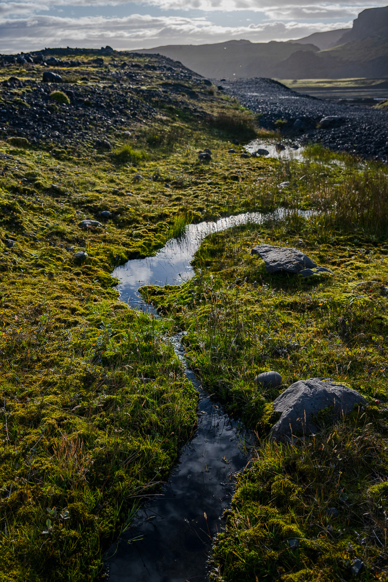 DSC_0610.jpg