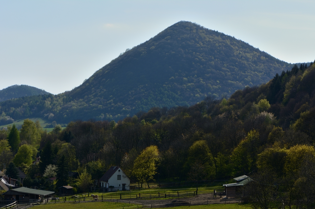 DSC_0610_00001n.jpg