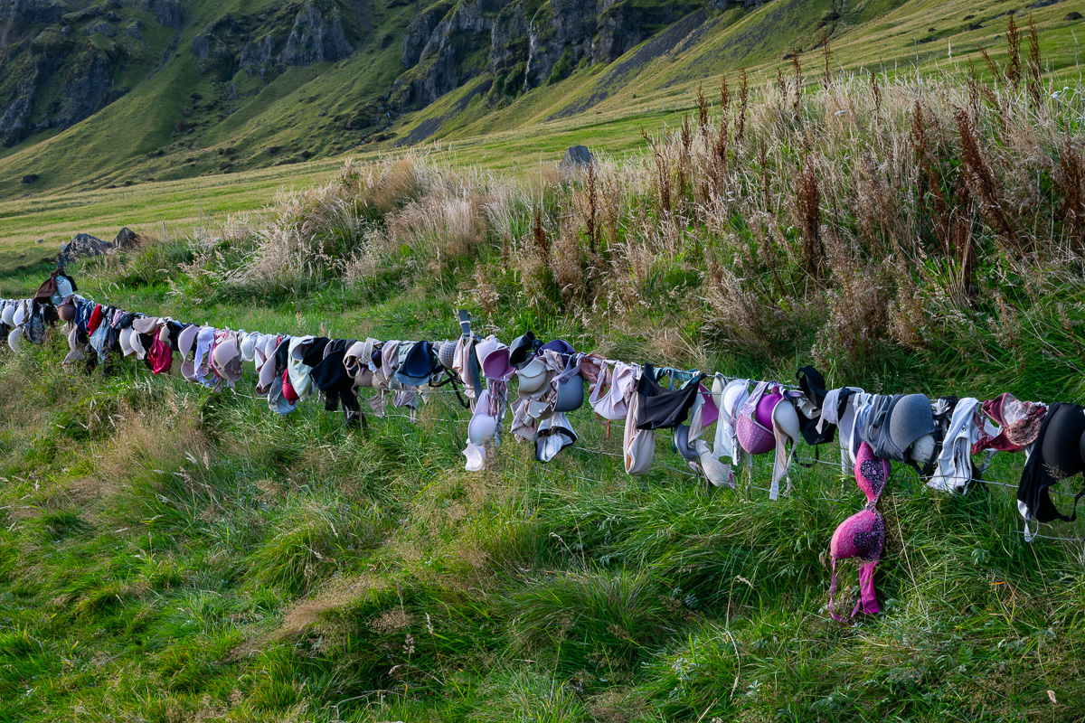 DSC_0611.jpg