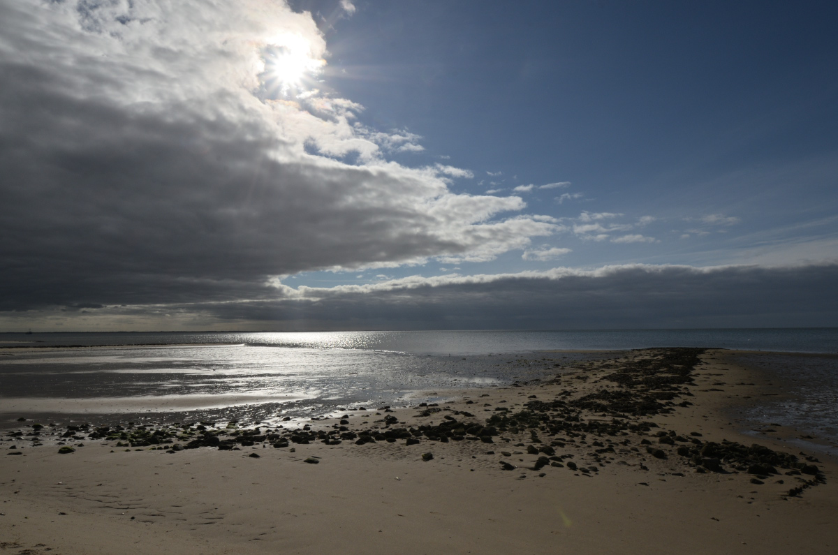 DSC_0612.JPG
