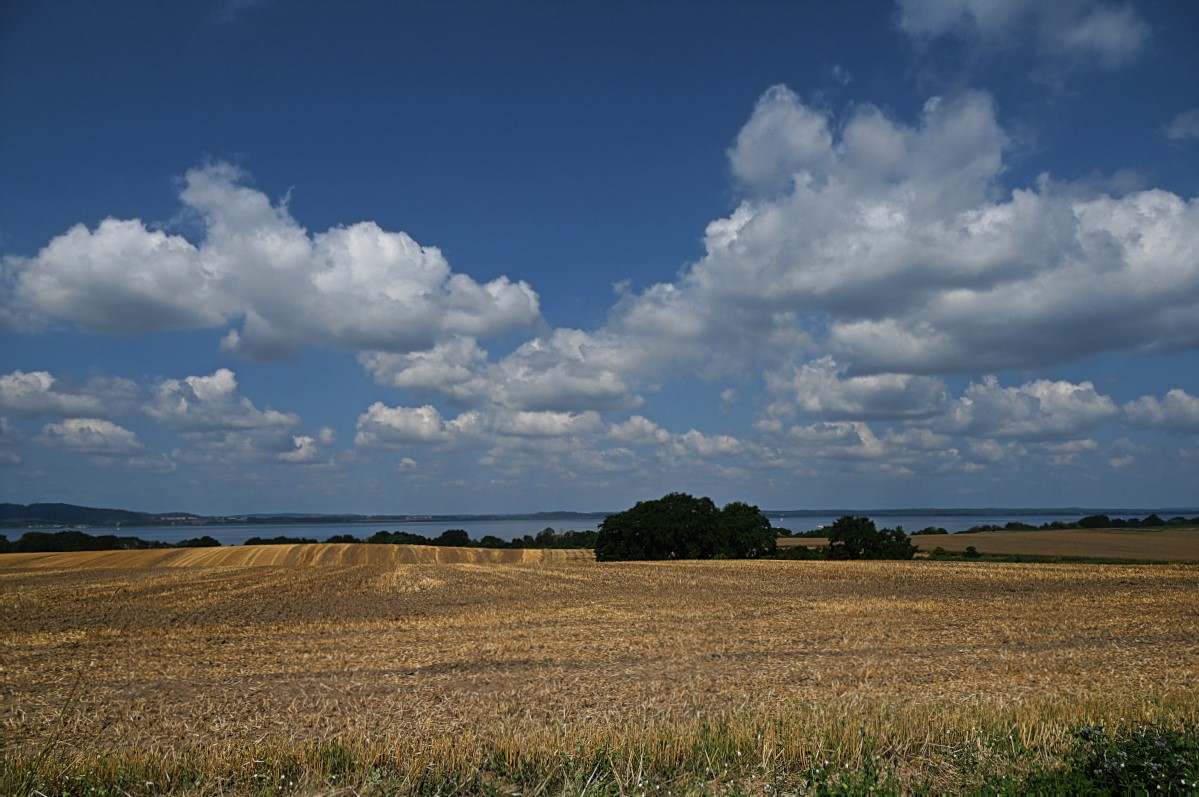 DSC_0634.jpg