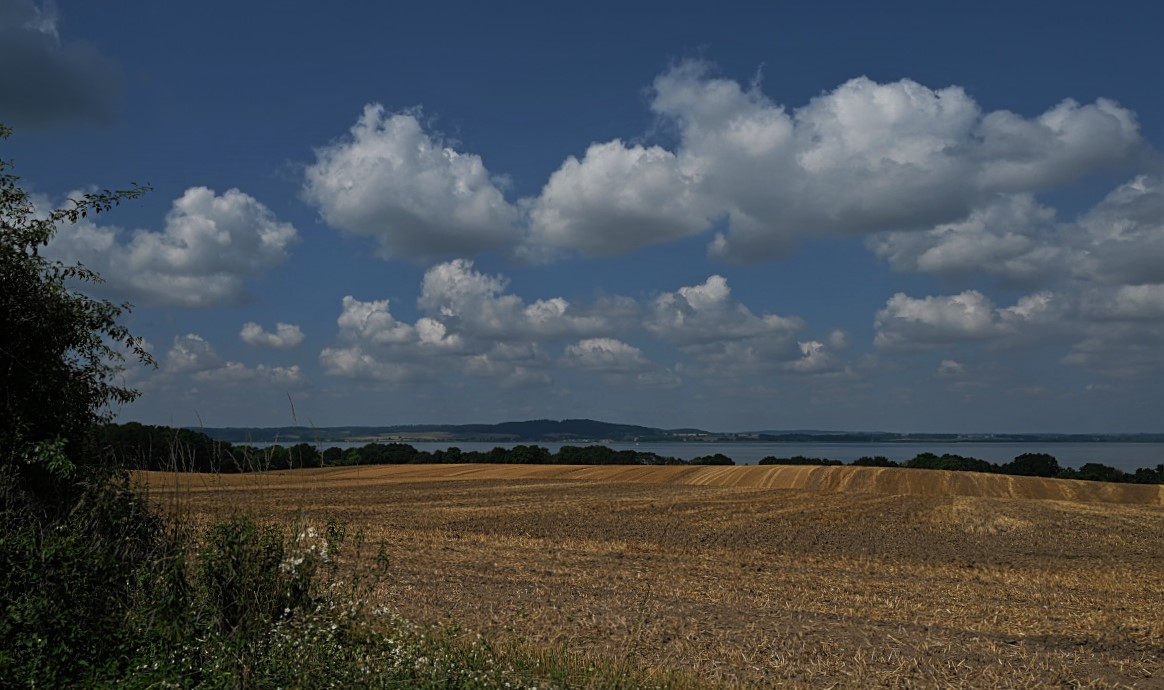 DSC_0635.jpg