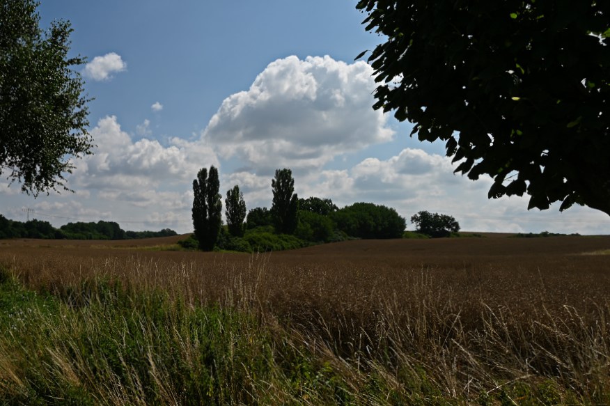 DSC_0648.jpg