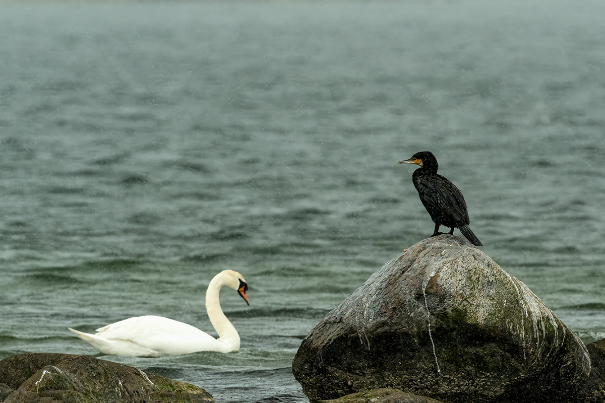 DSC_0652.jpg
