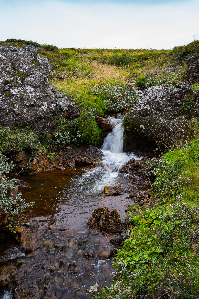 DSC_0658.jpg