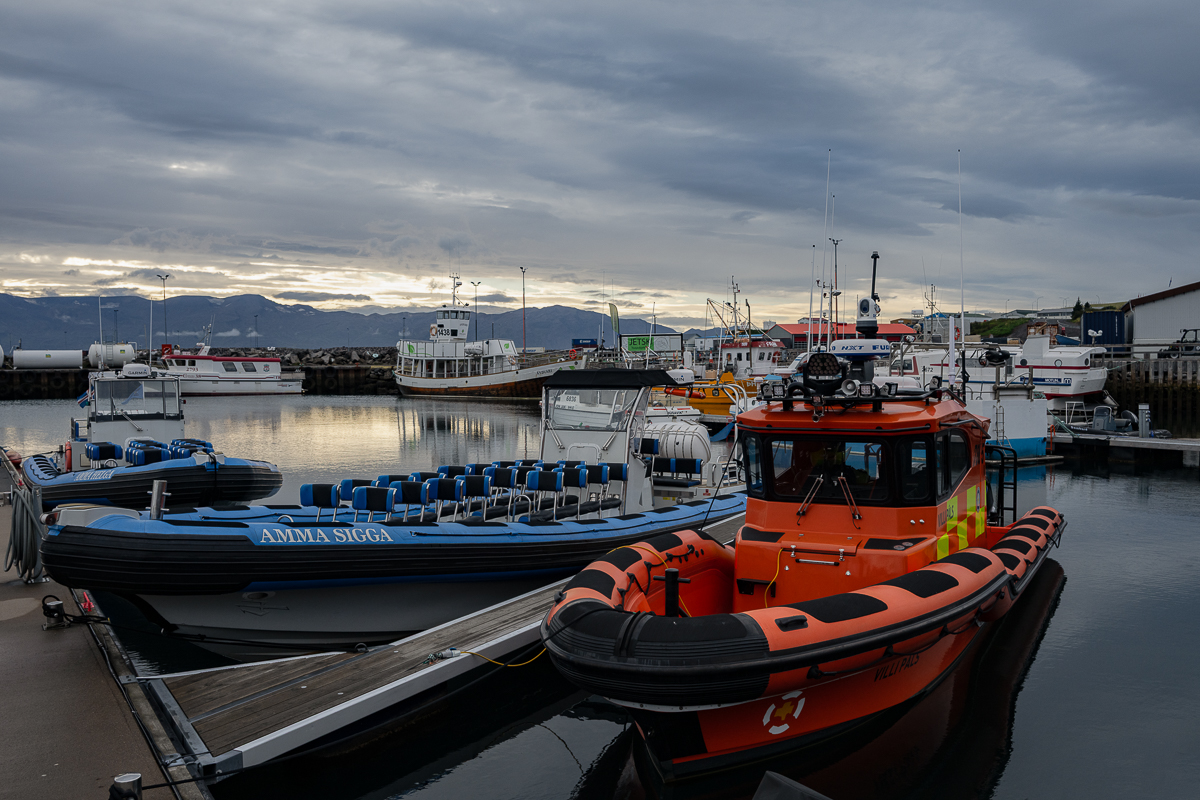 DSC_0672.jpg