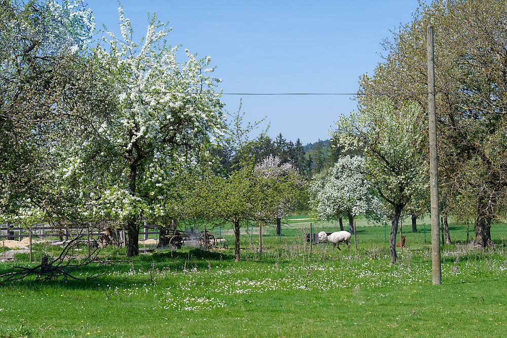 DSC_0673_DxO.jpg