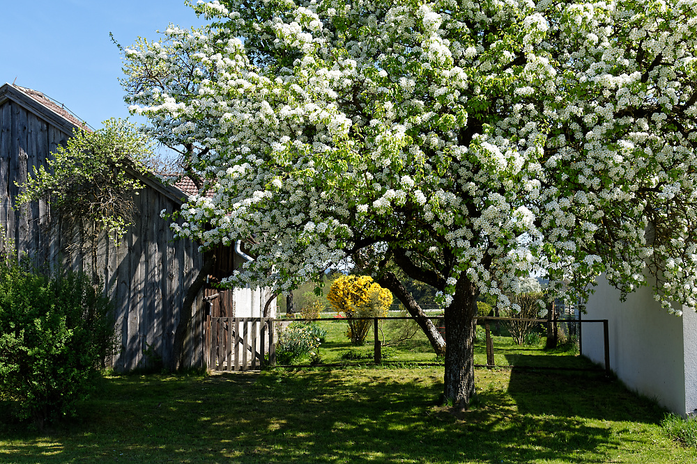 DSC_0682_DxO.jpg