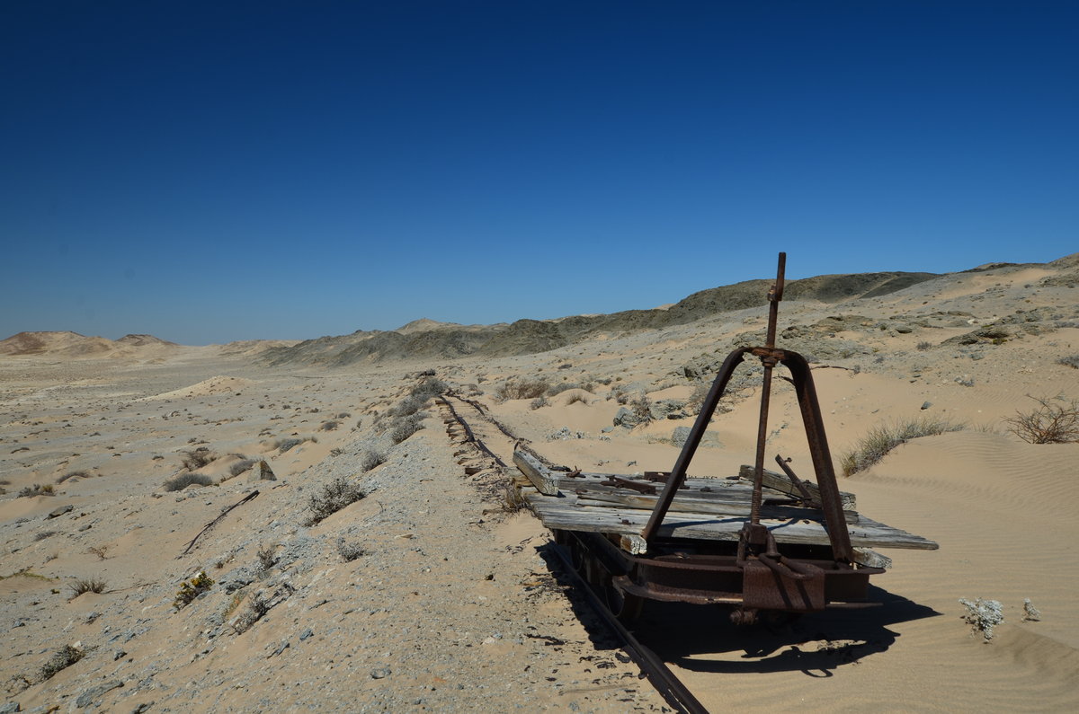 DSC_0687.JPG