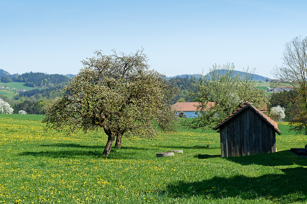 DSC_0691_DxO.jpg