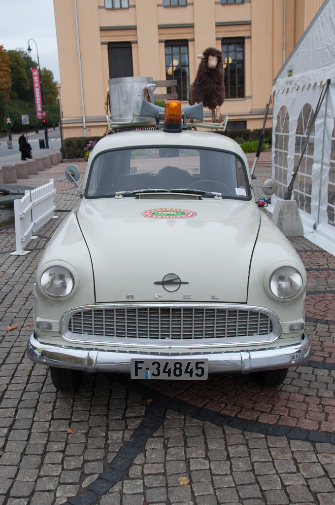 DSC_0702-1.JPG