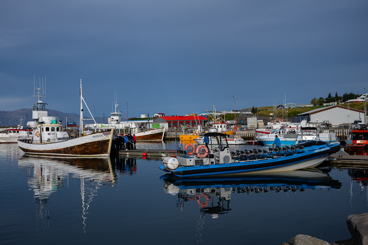 DSC_0704.jpg