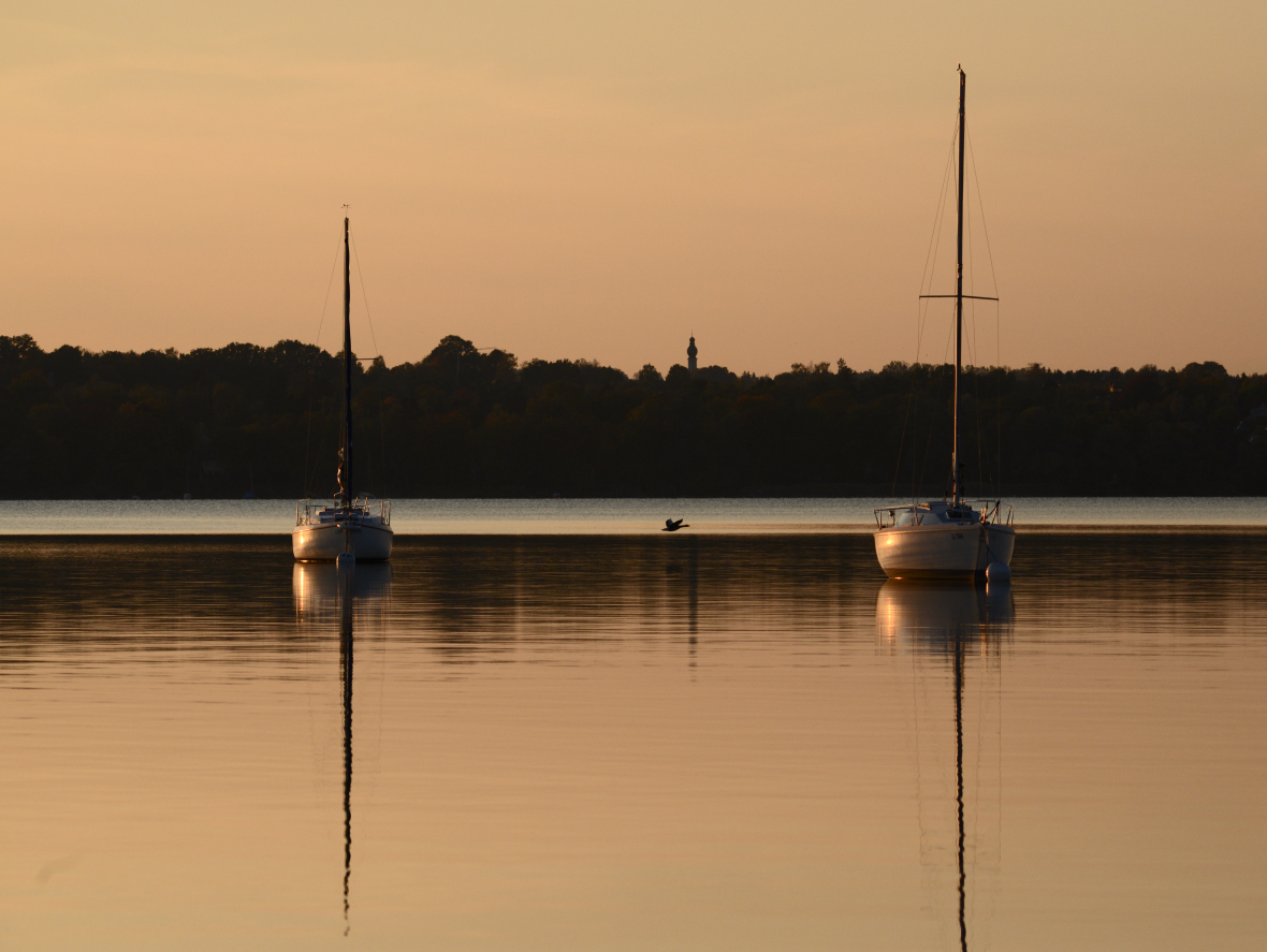 DSC_0711_1.jpg