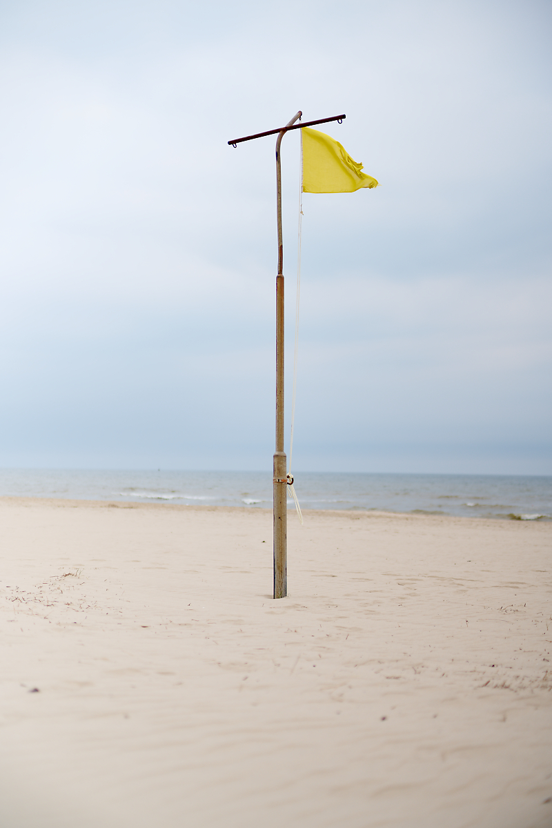 DSC_0731.jpg